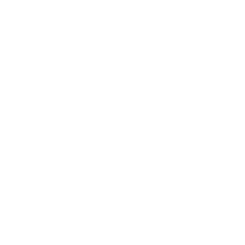 Lider Cam Balkon